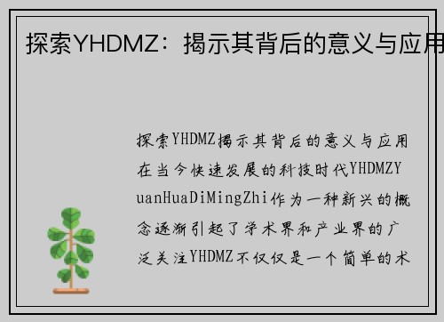 探索YHDMZ：揭示其背后的意义与应用